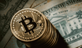 Мы даем 0.3btc в неделю одному столяру